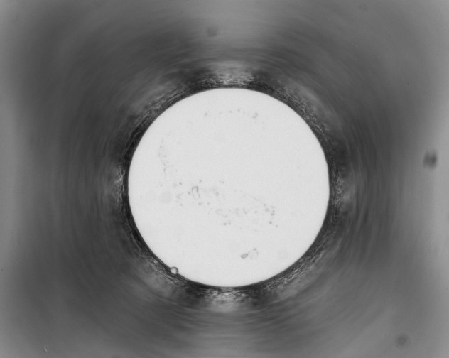 X0000098210321200805151259