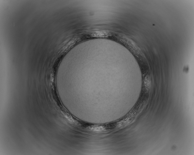 X0000098210322200805151259