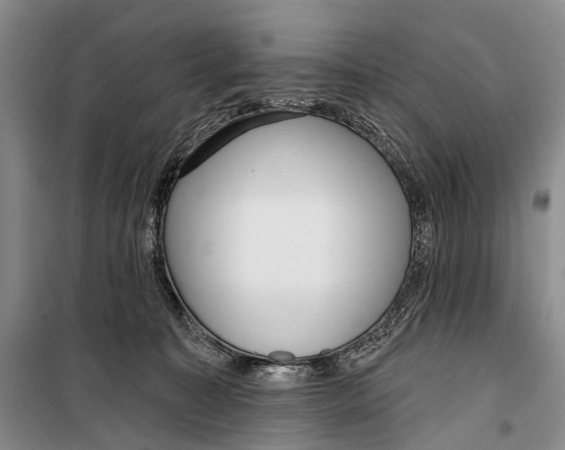 X0000098210323200805151259
