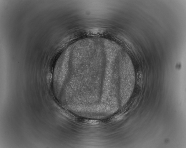 X0000098210324200805151259