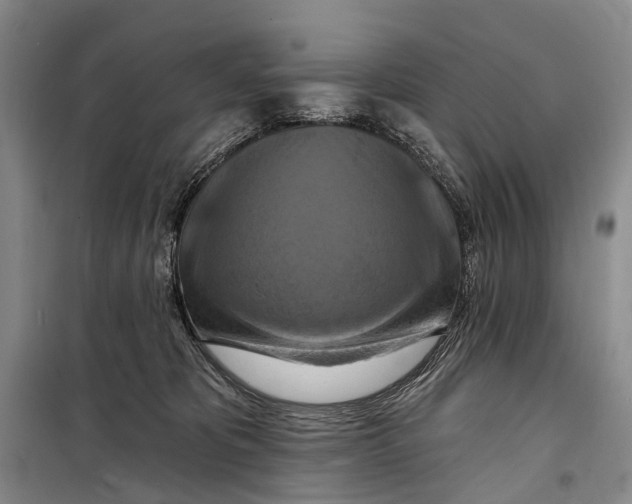 X0000098210325200805151259