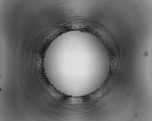 X0000098210327200805151259