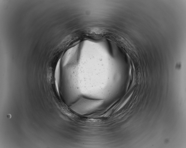 X0000098210328200805151259