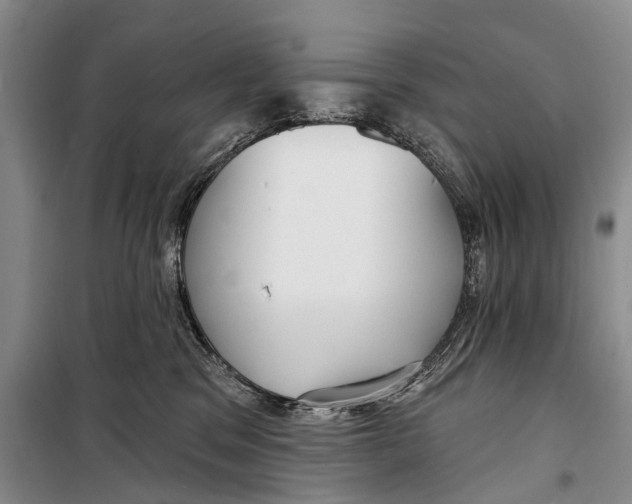 X0000098210329200805151259
