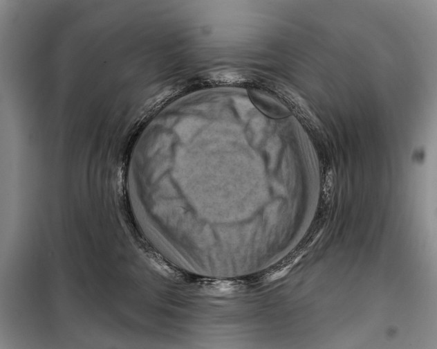 X0000098210330200805151259