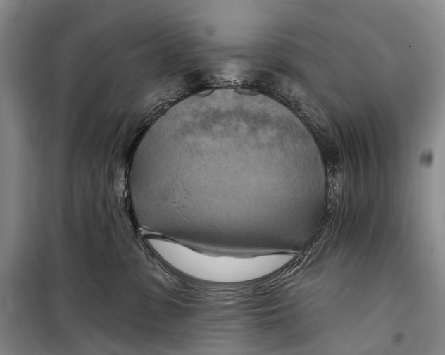 X0000098210331200805151259