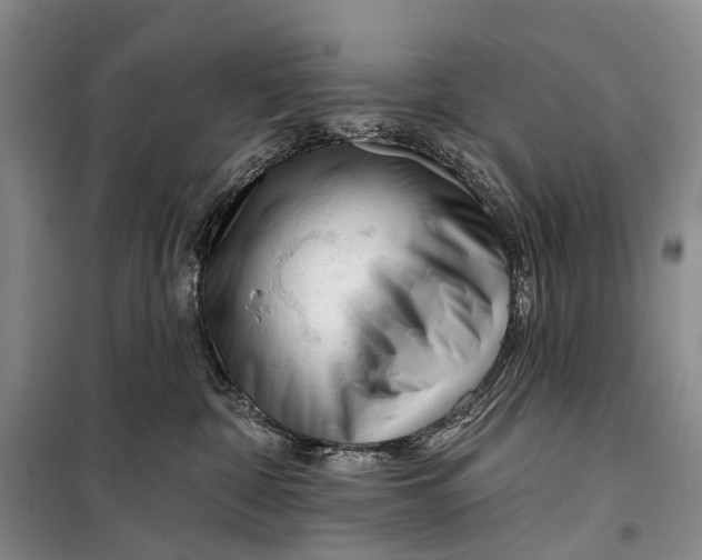X0000098210332200805151259