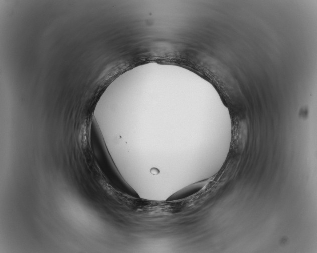 X0000098210333200805151259