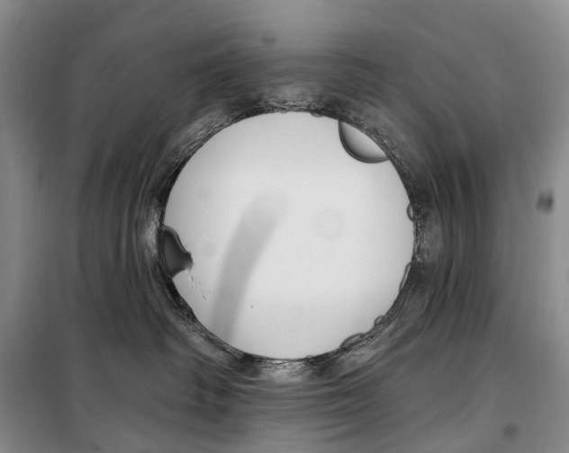 X0000098210334200805151259