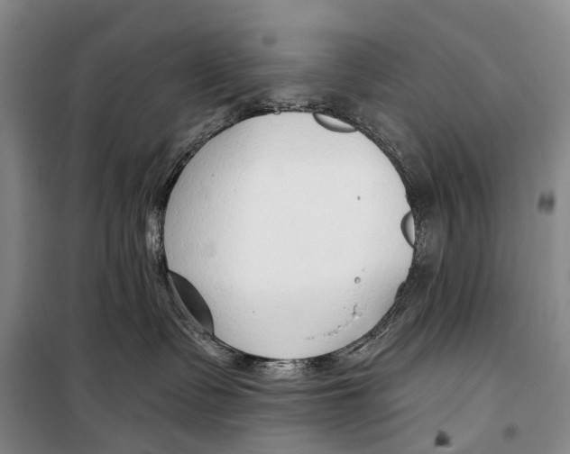 X0000098210335200805151259