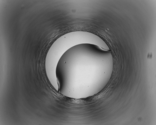 X0000098210336200805151259