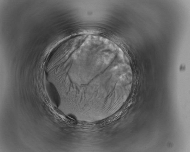 X0000098210337200805151258