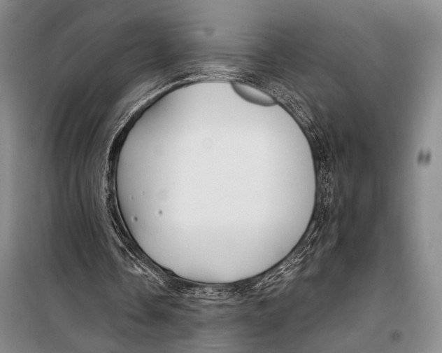 X0000098210338200805151258