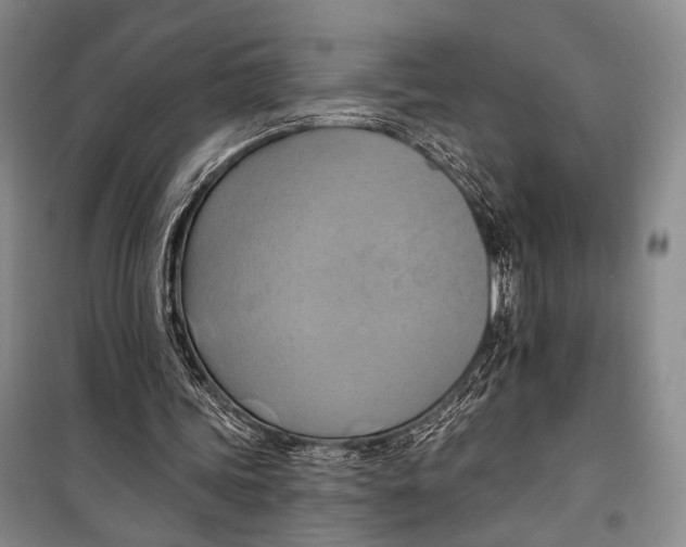 X0000098210339200805151258