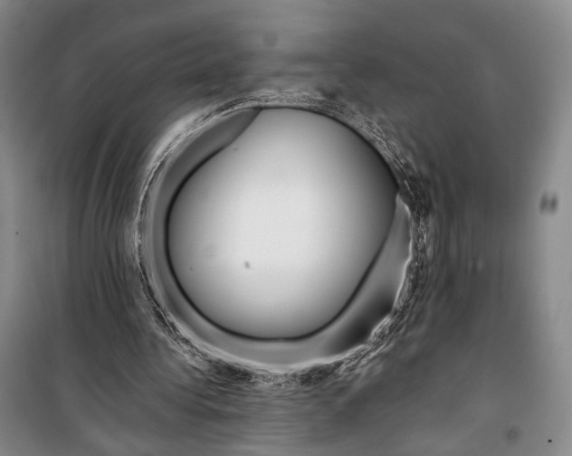 X0000098210340200805151258