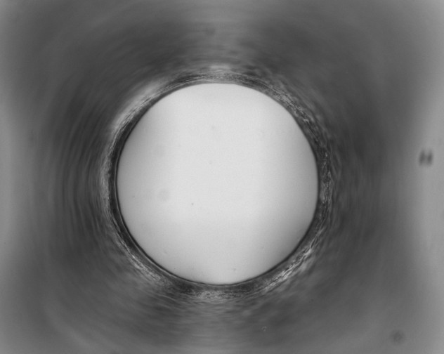 X0000098210341200805151258