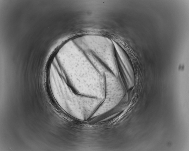 X0000098210342200805151258
