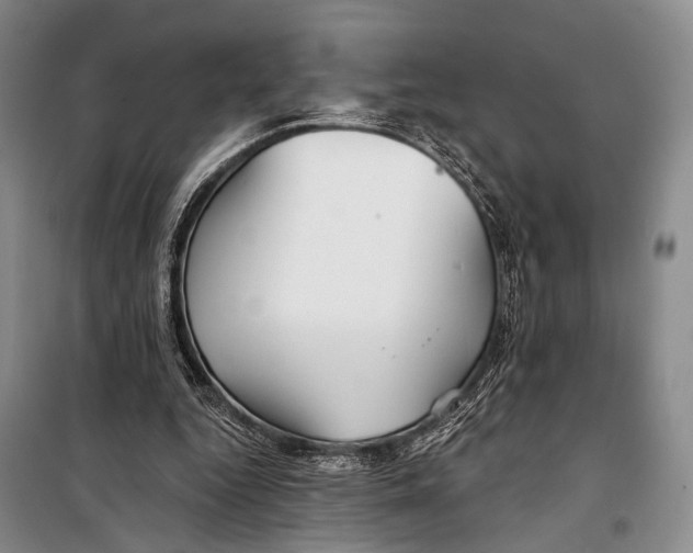 X0000098210344200805151258