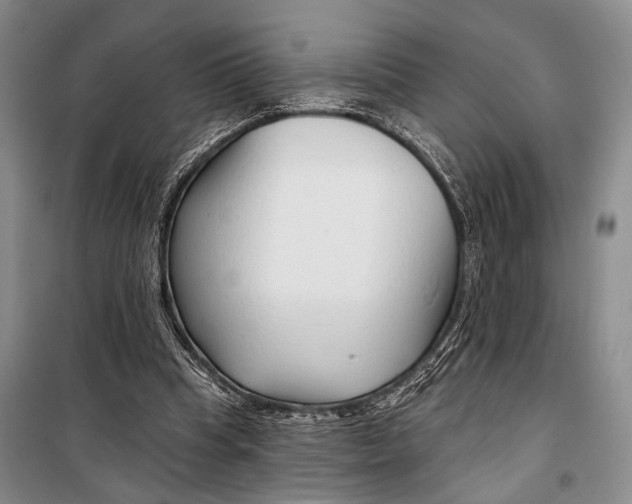 X0000098210345200805151258