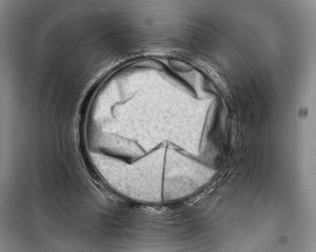 X0000098210346200805151258