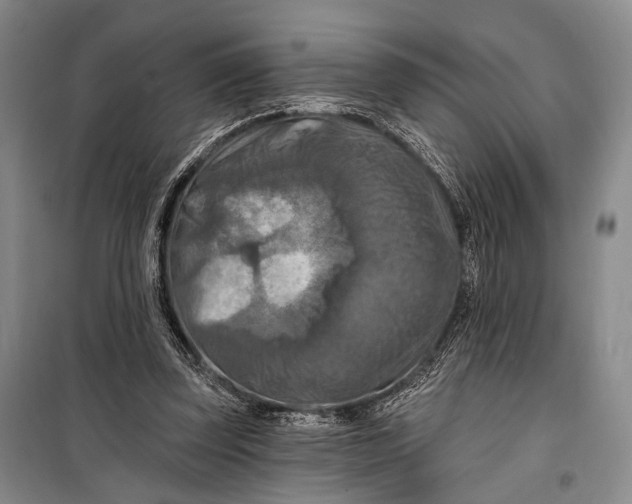 X0000098210347200805151258