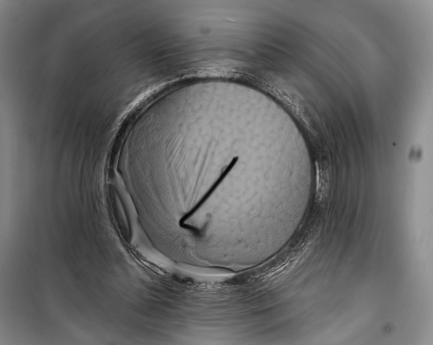 X0000098210348200805151258