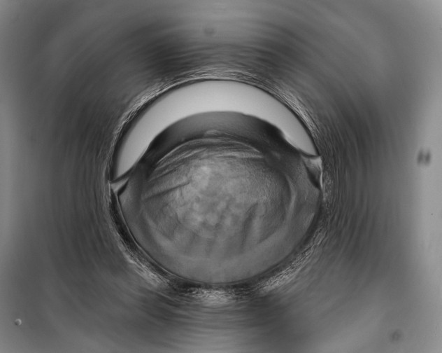 X0000098210349200805151258