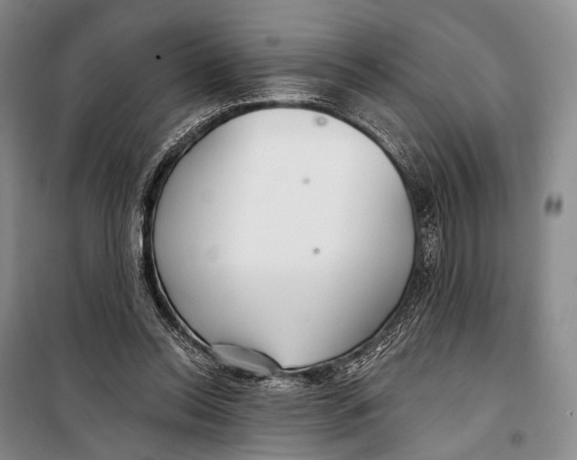 X0000098210350200805151258