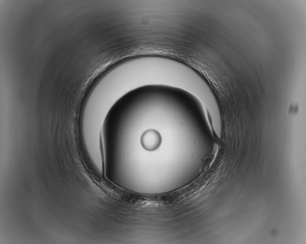 X0000098210352200805151258