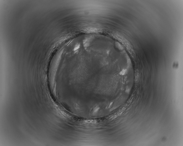 X0000098210353200805151259