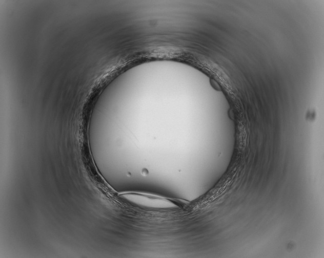 X0000098210354200805151259