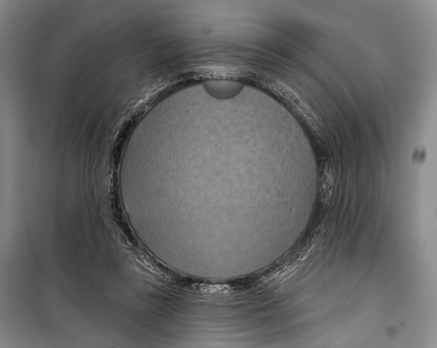 X0000098210355200805151259