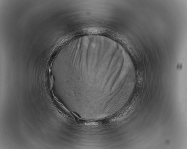 X0000098210357200805151259