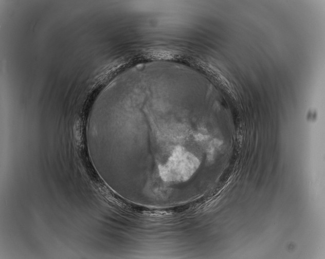 X0000098210359200805151259