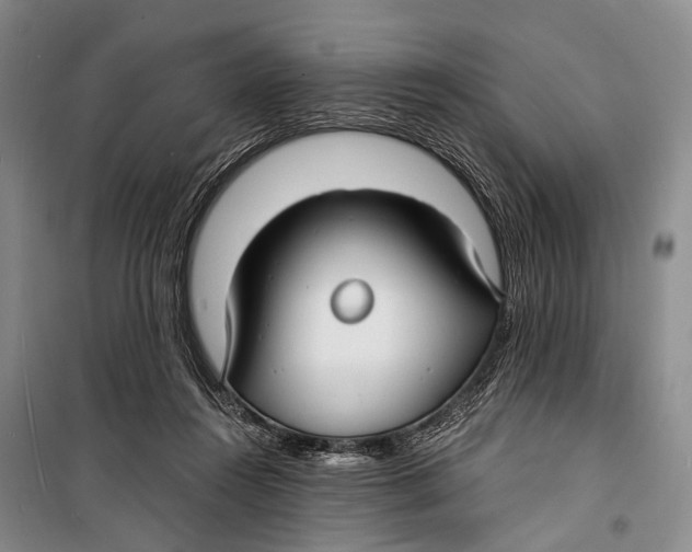 X0000098210360200805151259