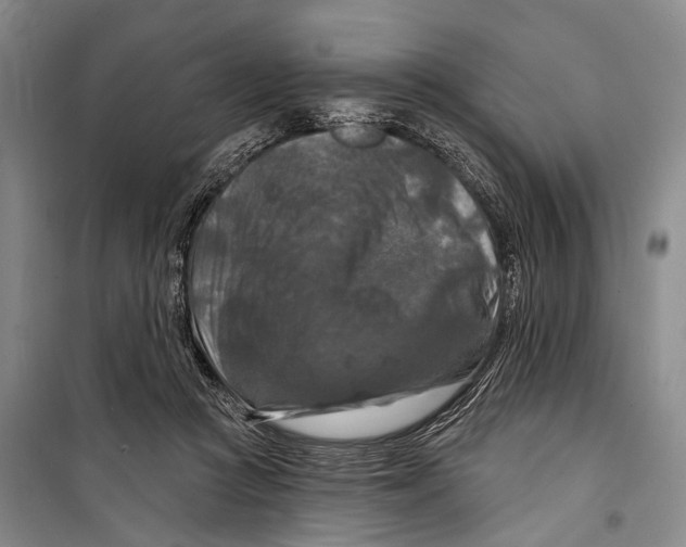 X0000098210361200805151259