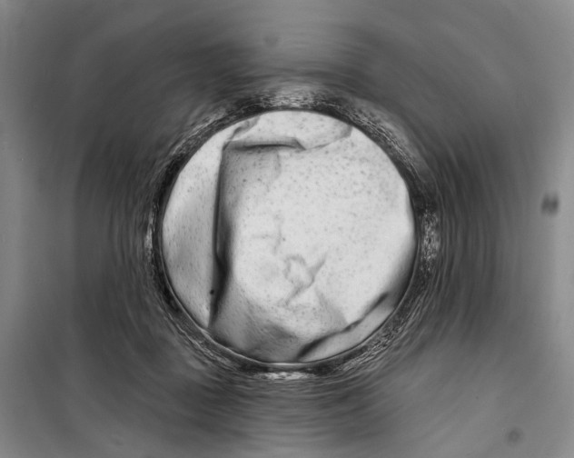 X0000098210363200805151259