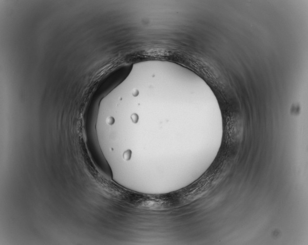 X0000098210364200805151259