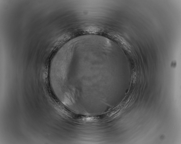 X0000098210365200805151259