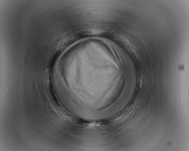 X0000098210366200805151259