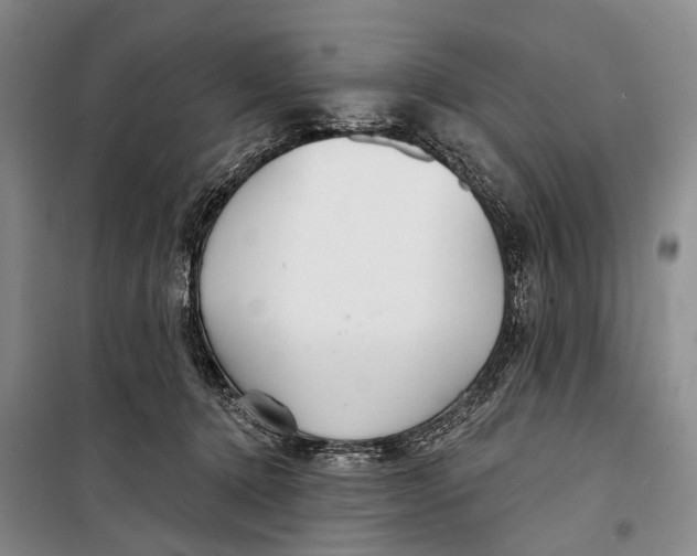 X0000098210368200805151259