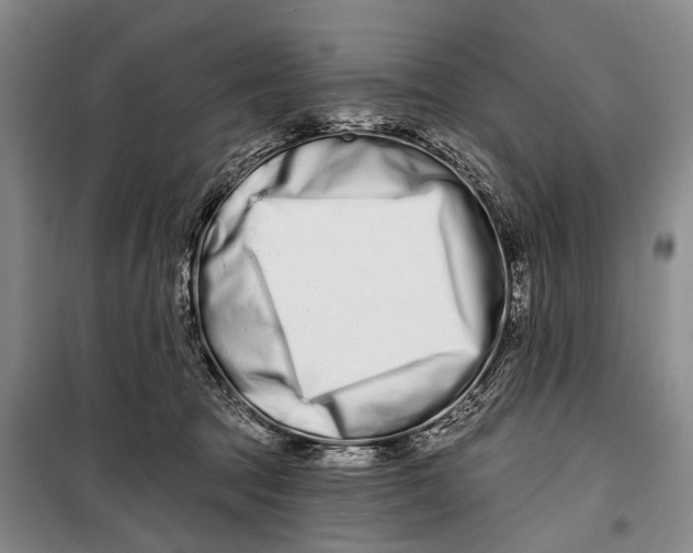 X0000098210369200805151259