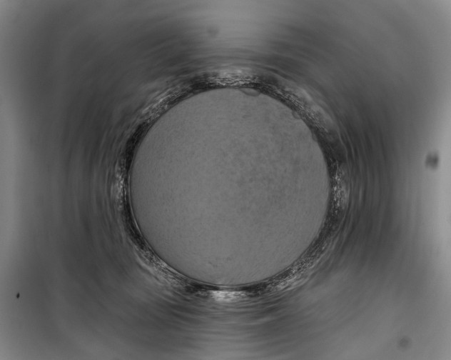 X0000098210371200805151259