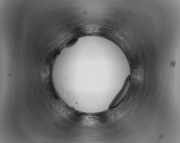 X0000098210372200805151259