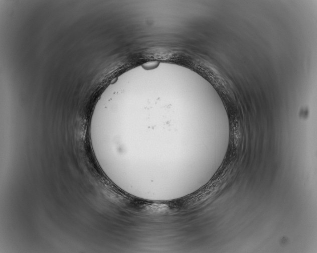 X0000098210374200805151259