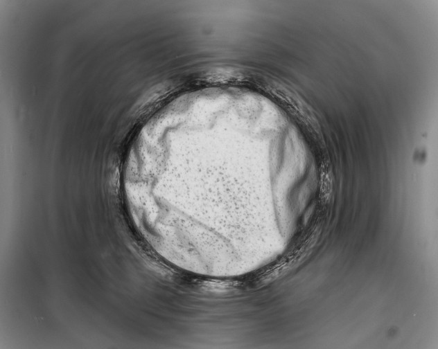 X0000098210375200805151259