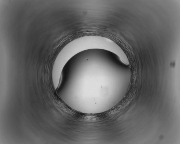 X0000098210376200805151259