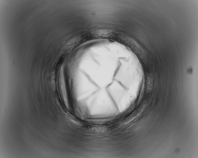 X0000098210377200805151259