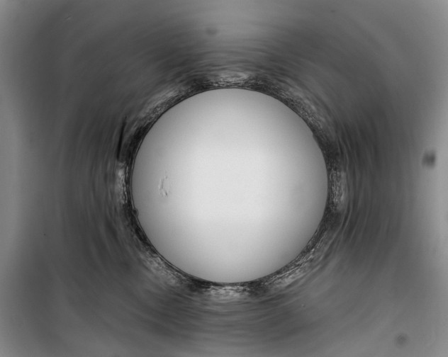 X0000098210378200805151259