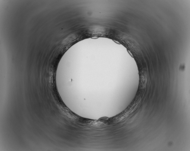 X0000098210379200805151259